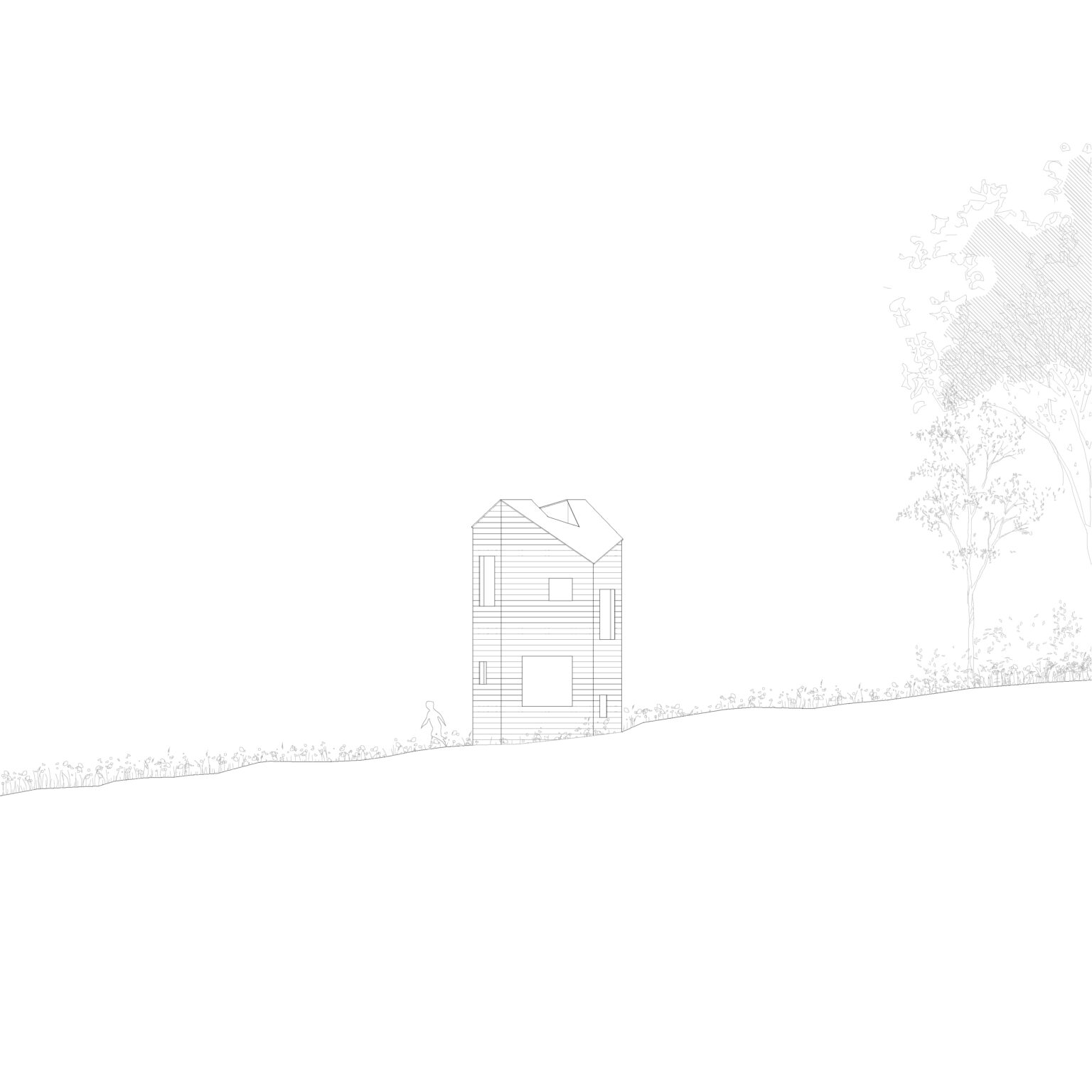 Élévation